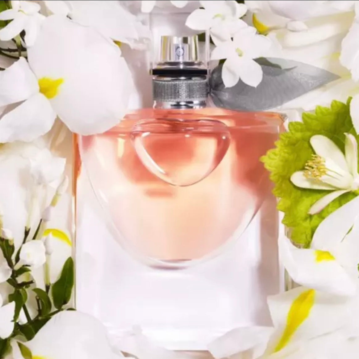 Lancôme La Vie Est Belle Eau De Perfume Spray for Women .50ml/oz