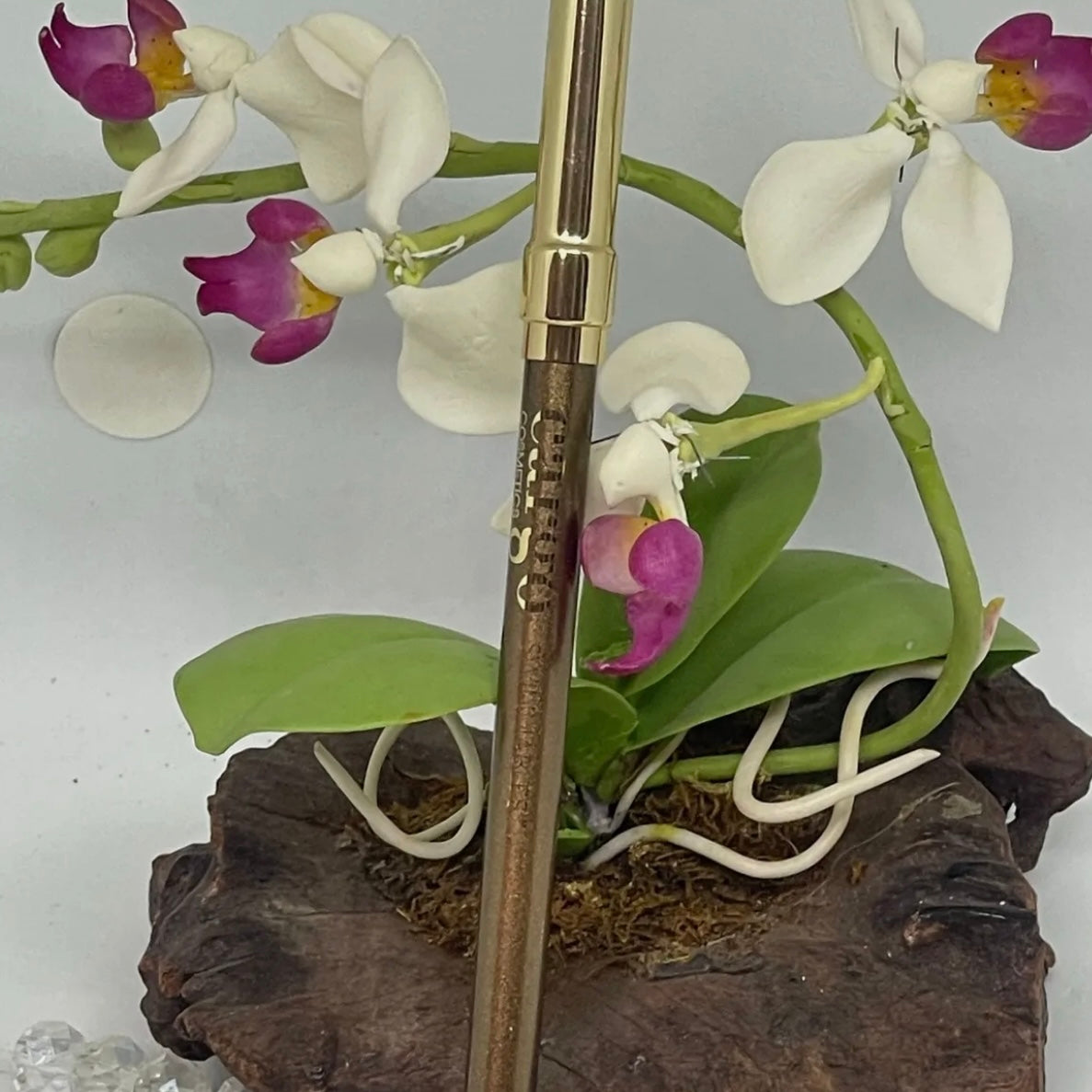 Cargo cosmetics “Swimmables” Waterproof Bronze Eye Crayon/eyeliner Pencil in the color “Dorado Beach #10
Currently only available for purchase at Facetreasures.com