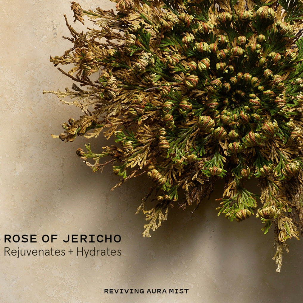 Keys Soulcare Reviving Aura Mist, Rose Of Jericho, Super Size 3.72 oz.