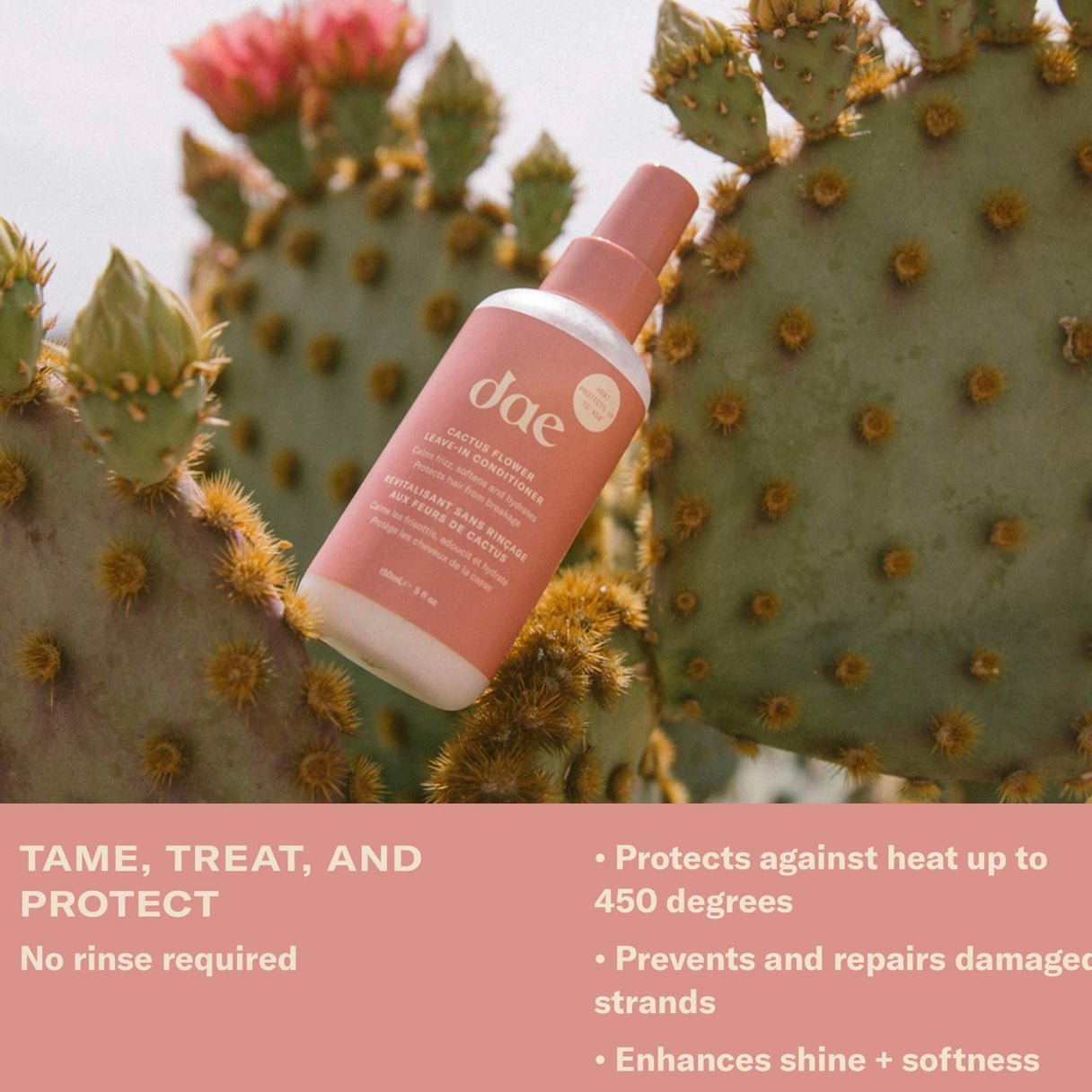 Acondicionador sin enjuague Dae Cactus Flower | 5 onzas líquidas