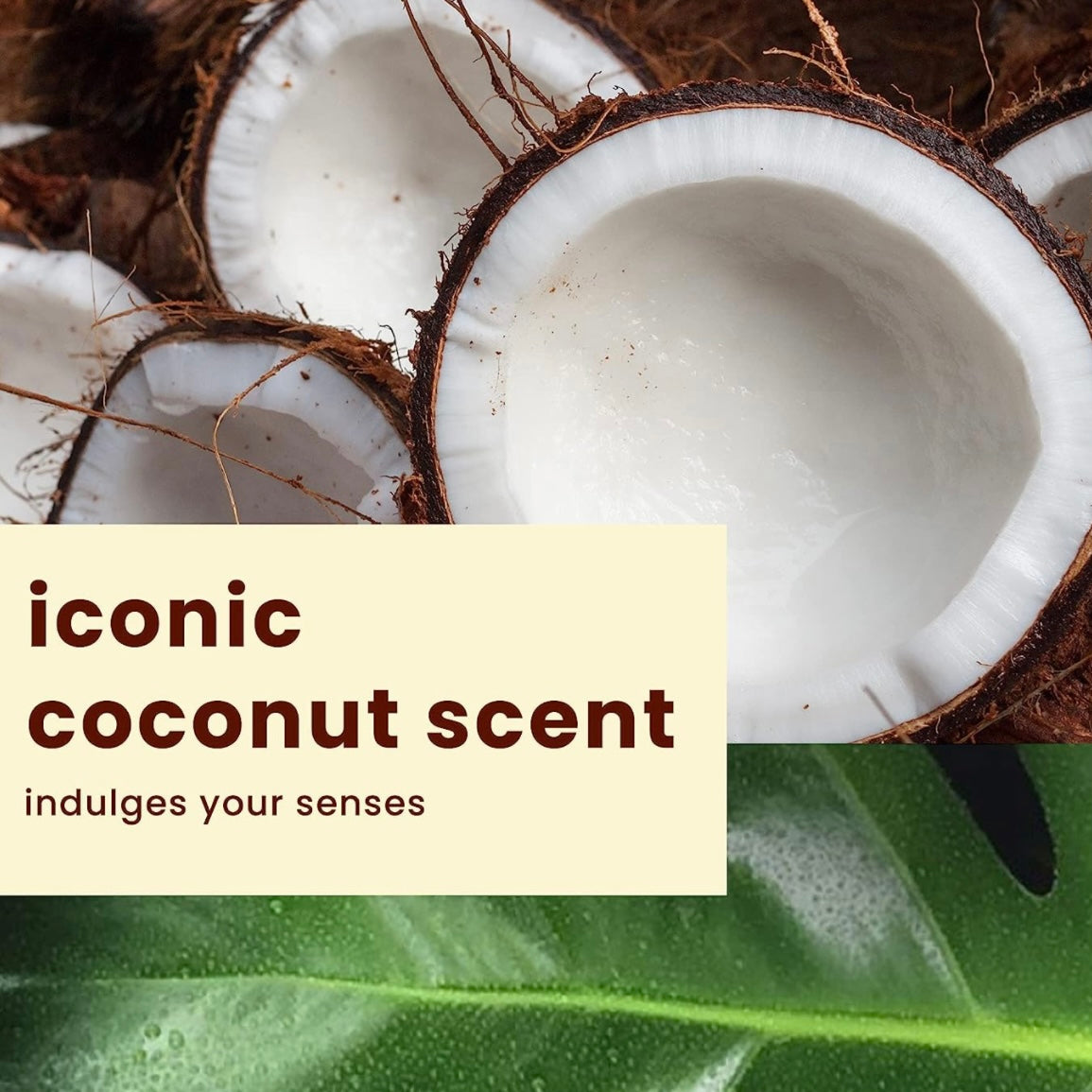 Mantequilla corporal cremosa de coco exótico Hawaiian Tropic para después del sol, 8 oz.