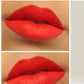 AC Matte Lipstick In The Color Lady Danger 0.1 Oz/3g.  Vivid bright coral-red. Color plus texture for the lips. Stands out on the runway. Simmers on the street.