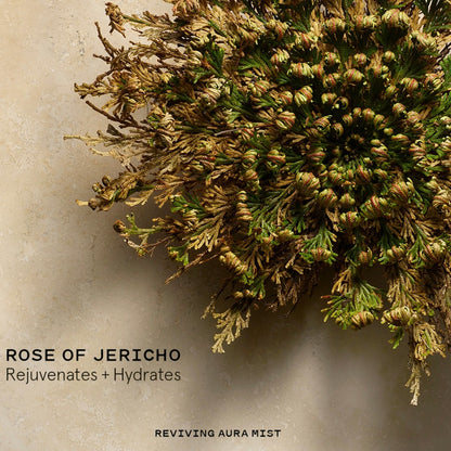 Keys Soulcare Reviving Aura Mist, Rose Of Jericho, Super Size 3.72 oz.